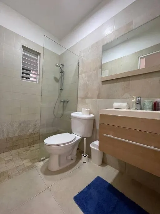 Blue Island Beachfront Apartment بونتا كانا