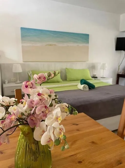 Blue Island Beachfront Apartment بونتا كانا